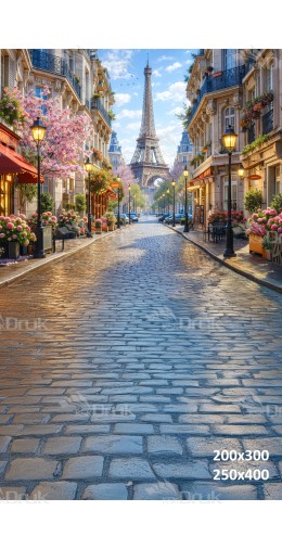 Tło fotograficzne „Paryska uliczka z widokiem na Wieżę Eiffla” | 4092